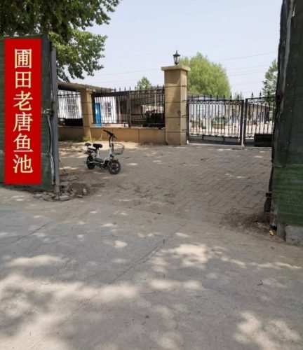 圃田老唐垂钓园