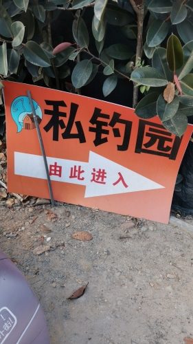 私钓园钓鱼场农家乐