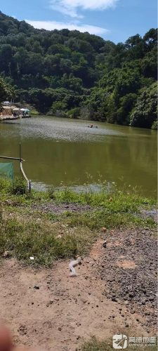 光明休闲钓鱼场