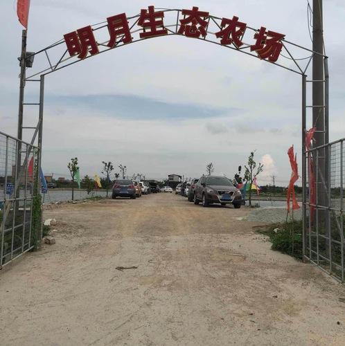 明月海鱼钓场