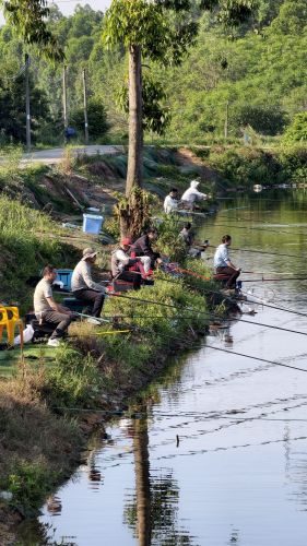 狮岭休闲野钓场