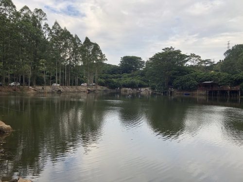 横迳钓鱼场