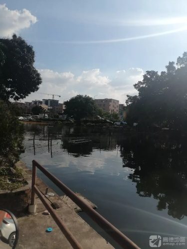 南门钓场