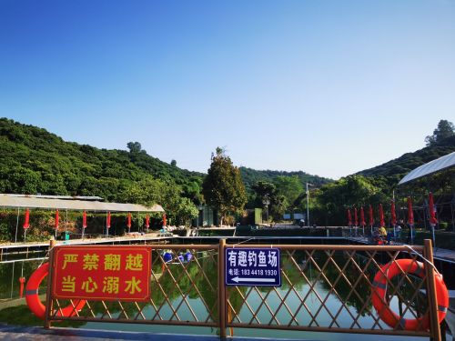 有趣钓鱼场