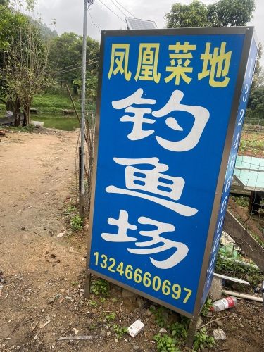 凤凰菜地钓鱼场