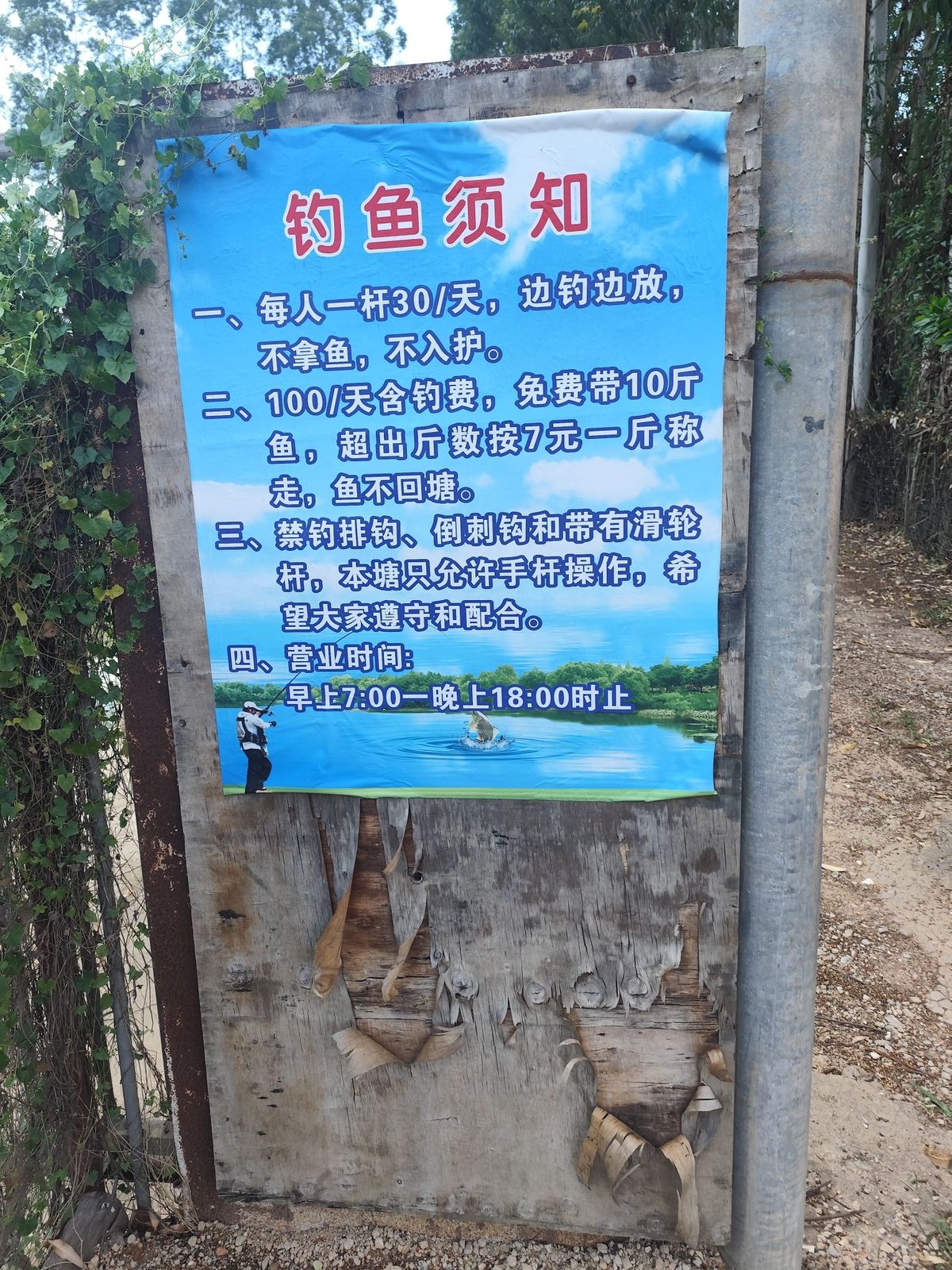 黎光湾钓鱼场