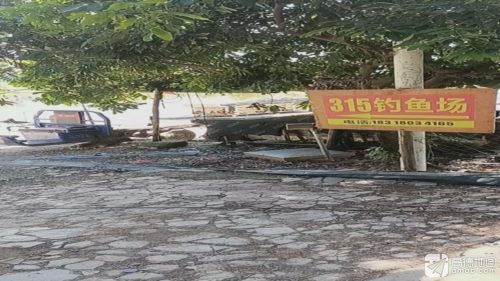 315钓场