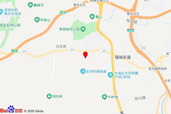 小鸡钓鱼