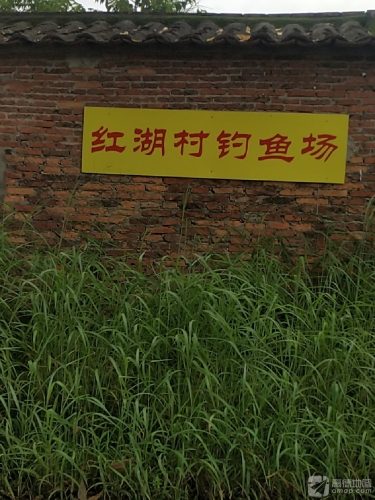 红湖村钓鱼场