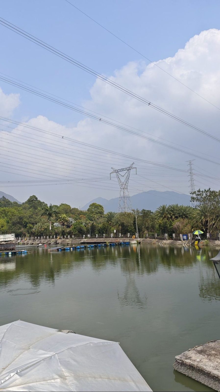 葵涌钓鱼场