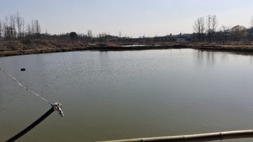 袁湾钓场